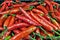 Stacks of red chilies in market are on display for sale