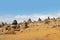 Stacks of stones on sand desert