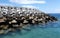 Stacks of tetrapods on the seafront to break the waves