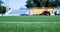 Stadium arena soccer field. green grass on outdoor stadium, selective focus. sport and games. healthy lifestyle. playing