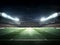 Stadium defocused