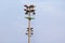 Stadium floodlight tower with reflectors with blue sky background