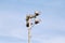 Stadium floodlight tower with reflectors with blue sky background