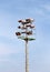 Stadium floodlight tower with reflectors with blue sky background