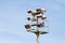 Stadium floodlight tower with reflectors with blue sky background