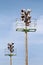 Stadium floodlight tower with reflectors with blue sky background