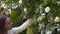 Staff event agency at work. Florists mount, decorate flowers arch for wedding ceremony. Work creating decor by