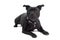 Staffordshire Bull Terrier