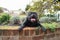 Staffordshire Bull Terrier dog lying in a flower bed by a feature wall in a graden or back yard. He is looking at the camera