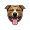 Staffordshire Terrier dog head. Dog face muzzle. Staffordshire terrier dog breed. Smiling dog. Vector.