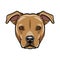 Staffordshire terrier portrait. Dog face, muzzle, head. Staffordshire terrier breed. Vector.