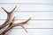 Stag antlers on rustic white timber background