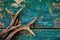 Stag antlers on vintage wood background