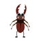 Stag Beetle animal cartoon character vector illustration