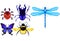 Stag-beetle; dragonfly; ladybug; butterfly and bumblebee