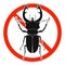 Stag beetle with red ban sign. STOP stag beetle beetle sign