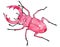 Stag beetle. Stag beetle with large antlers. Pink big beetle with a bright, decorated body.