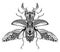 Stag-beetle tattoo. psychedelic, zentangle style.