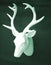 Stag\'s head antlers on wall