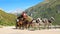 Stagecoach at St. Gotthard Alpine Pass