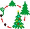 Stages of growth of spruce from seed to Christmas tree with toys