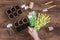 Stages of planting seeds, woman hands spraying water on the soil in organic pots