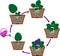 Stages of vegetative reproduction of African violets Saintpaulia. Sequence of stages of plant growth from leaf section to plant