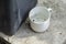 Stagnan water in rubbish container and plastic cup potentially for mosquitoes breeding ground. Blurred image.