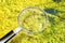 Stagnant water background with yellow algae floating on the surface level - Concept image seen through a magnifying glass