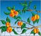 Stained glass illustration with the branches of orange tree , the fruit branches and leaves against the sky