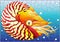 Stained glass illustration with a bright abstract nautilus on a background of water and air bubbles