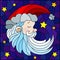 Stained glass illustration with a portrait of Santa Claus on the background of the night starry sky