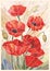 Stained glass large flowers poppies on a light beige background. Light lines