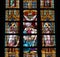 Stained Glass Window in St Jan, `s Hertogenbosch