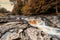 Stainforth Force, Stainforth, North Yorkshire