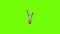 Stainless corkscrew icon animation