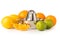 Stainless Steel Citrus Juicer Surrounded by Citrus Fruits