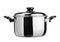 Stainless steel cooking pot