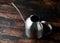 Stainless steel indoor plants watering can pot on dark background