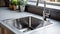 Stainless steel shiny perfectly clean sink for kitchen