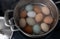 Stainless Steel Steaming Tower Full of Chicken Eggs of Various Colors