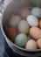Stainless Steel Steaming Tower Full of Chicken Eggs of Various Colors