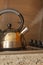 Stainless steel whistling tea kettle