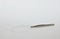 Stainless tweezers and hair on white background