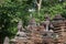 The stair of the ruined medieval university in Cambodia. Stone figures of animals. Ancient ruins