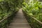 Stair steps in the jungle garden