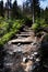 Stair stone walkway in the forest