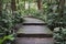 Stair way to the green rainforest. where the trekking begins.welcome  nature background