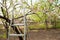 Staircase against the background of a blooming garden. Metal stepladder and background from trees in spring close-up and copy spac