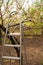 Staircase against the background of a blooming garden. Metal stepladder and background from trees in spring close-up and copy spac